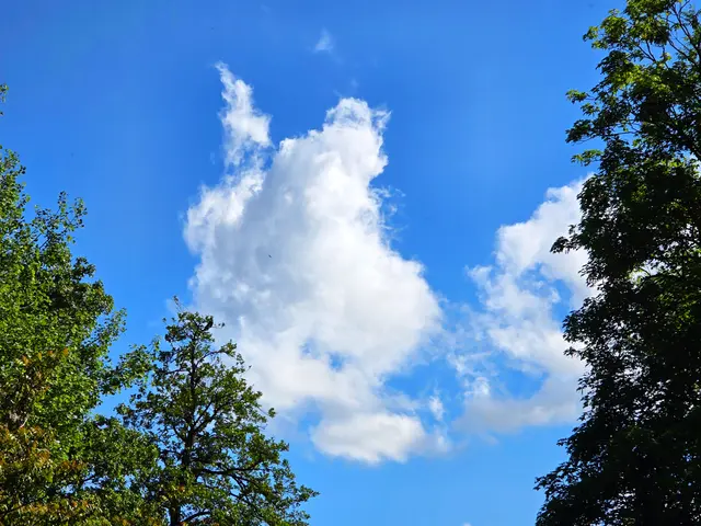 Foto: Heidrun Rosenberger