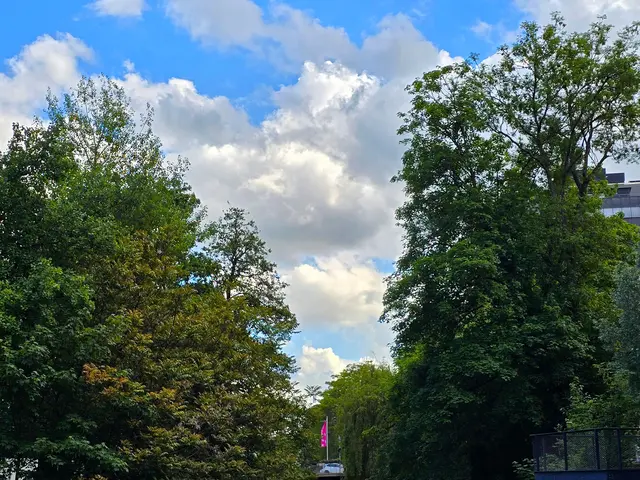 Foto: Heidrun Rosenberger