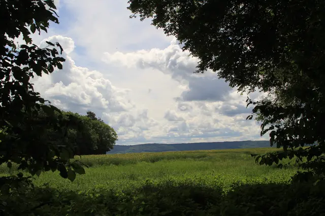 Rundwanderung bei Friedrichsruhe