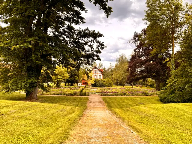 Foto: Heide Böllinger aus Bad Friedrichshall