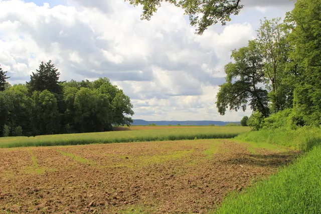 Rundwanderung bei Friedrichsruhe
