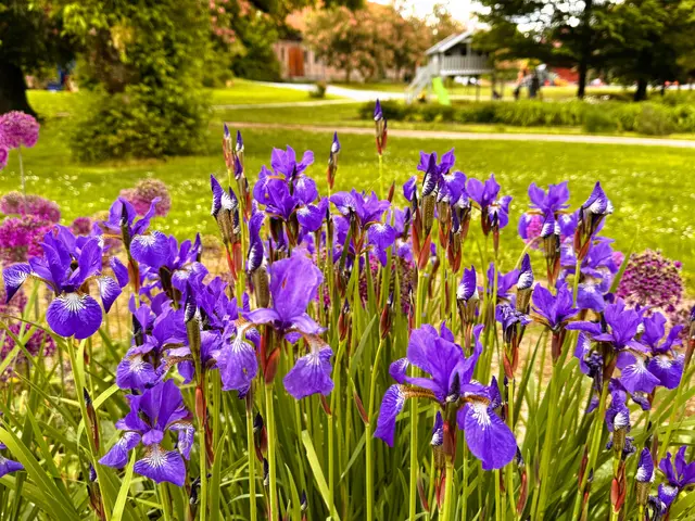 Foto: Heide Böllinger aus Bad Friedrichshall