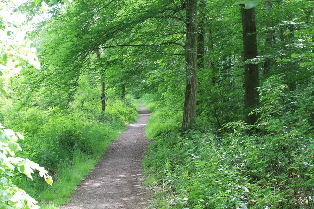 Rundwanderung bei Friedrichsruhe