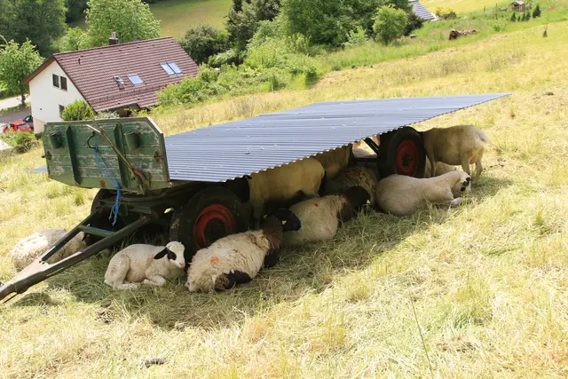Rundwanderung bei Friedrichsruhe