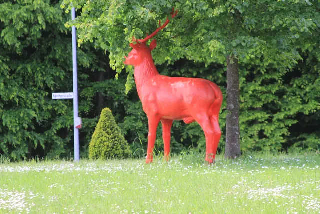 Rundwanderung bei Friedrichsruhe