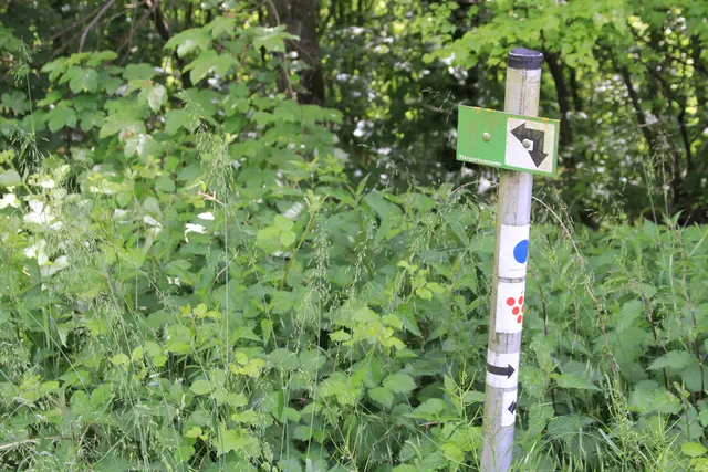 Rundwanderung bei Friedrichsruhe