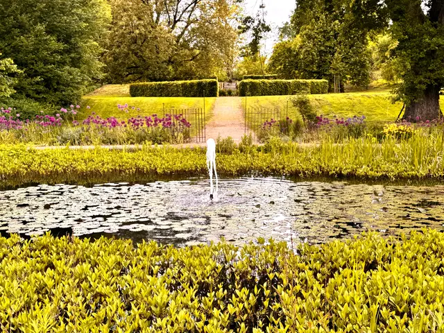 Foto: Heide Böllinger aus Bad Friedrichshall