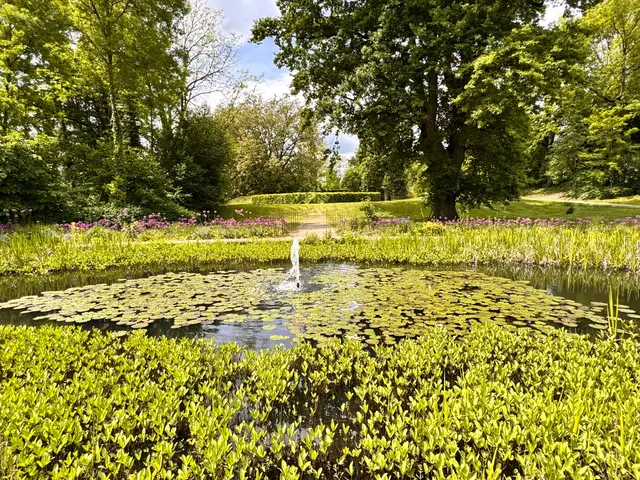 Foto: Heide Böllinger aus Bad Friedrichshall