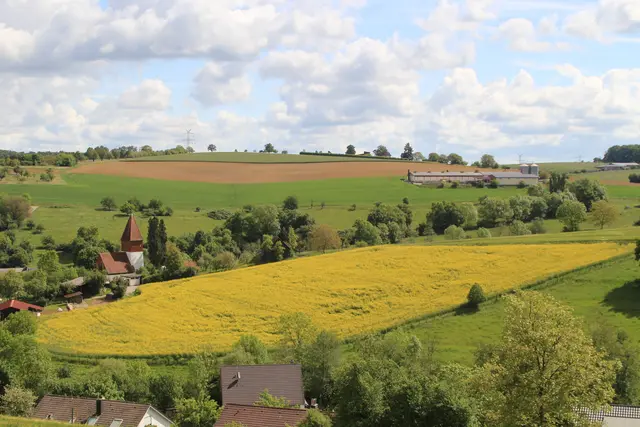 Rundwanderung bei Friedrichsruhe