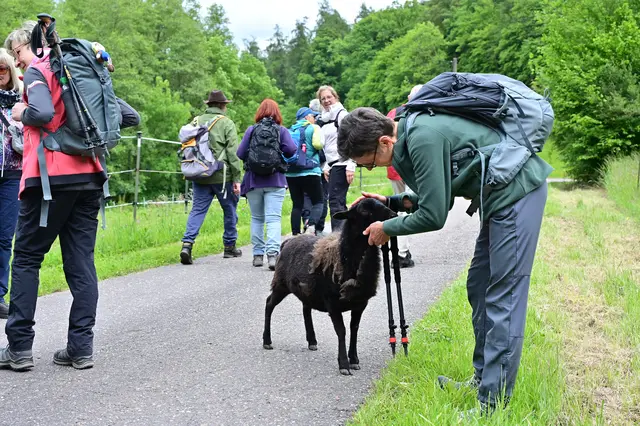 Oder ist es die große Liebe? | Foto: Michael Harmsen
