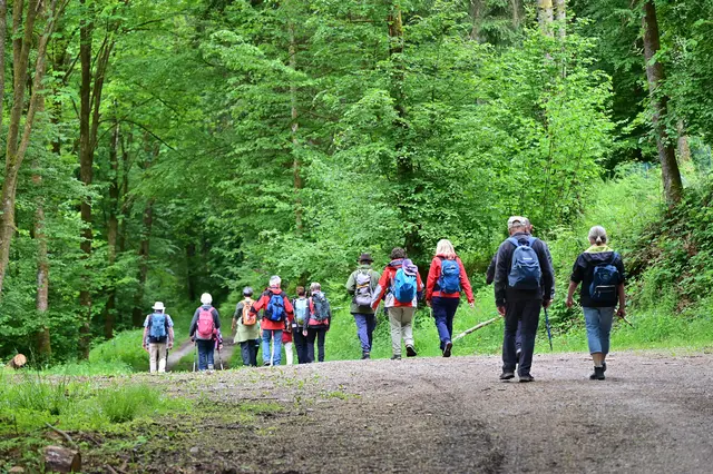 Jetzt geht es in Richtung Neckargerach. | Foto: Michael Harmsen