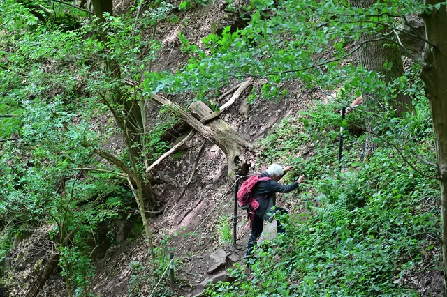 Der Weg ist fast komplett Seilgesichert. Praktisch, da kann man sich auch mal hochziehen. | Foto: Michael Harmsen