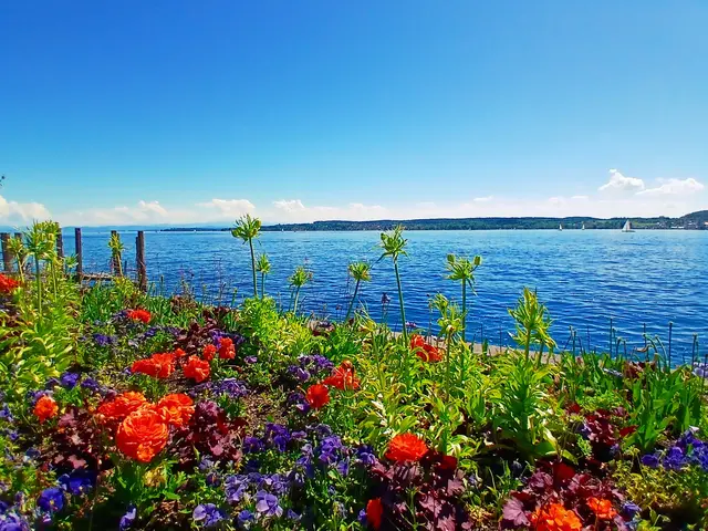 Blick über den See.   | Foto: sigischlottke
