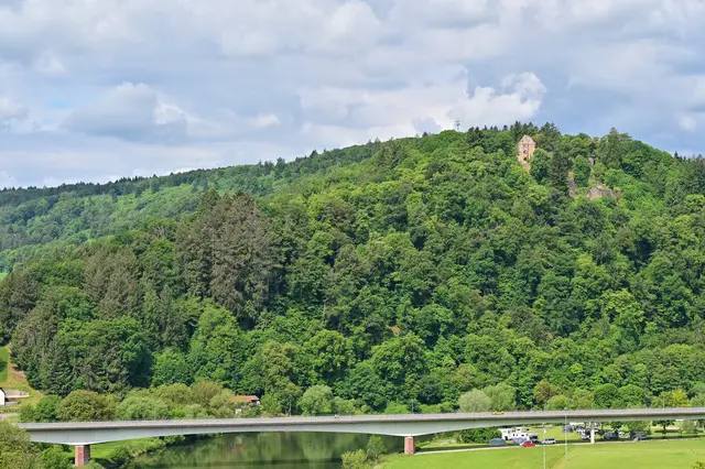 Neckarbrücke und Minneburg. | Foto: Michael Harmsen