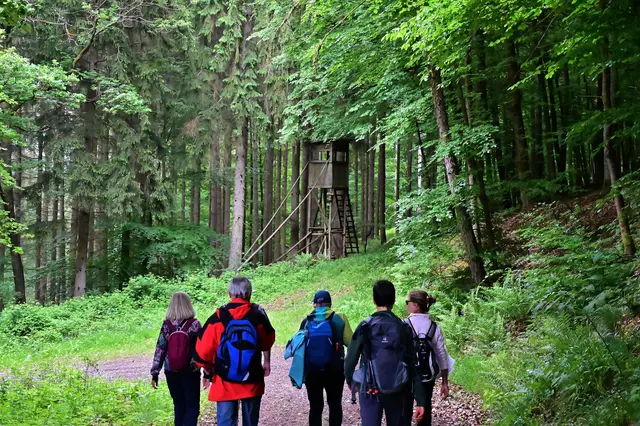 Waldbaden. | Foto: Michael Harmsen