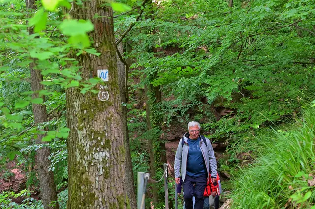 Der Wanderführer. | Foto: Michael Harmsen