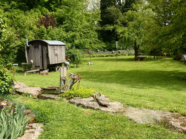 Blick über den vorderen Gartenbereich.  | Foto: sigischlottke