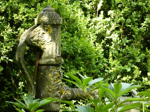 Ein bereits in die Jahre gekommener und bemooster Brunnen fügt sich harmonisch in diese Ecke ein.  | Foto: sigischlottke