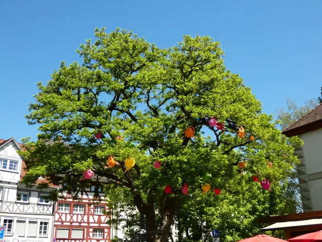 Hier hängt der Himmel nicht voller Geigen, sondern der Baum voll bunter Gießkannen. | Foto: sigischlottke