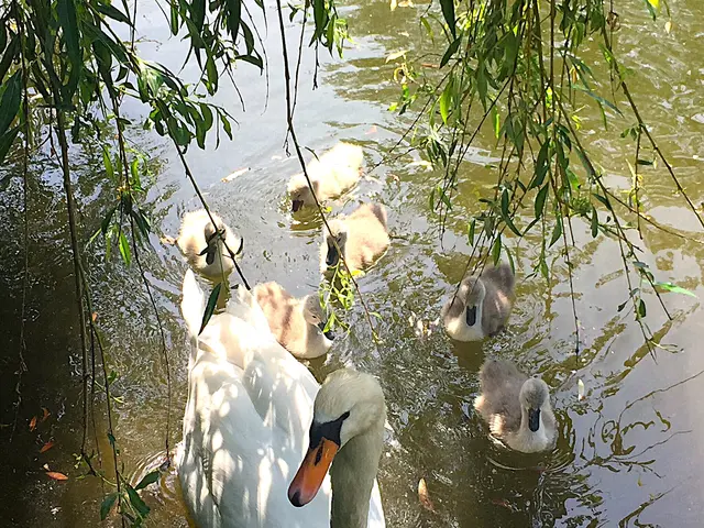 Foto: Heide Böllinger aus Bad Friedrichshall