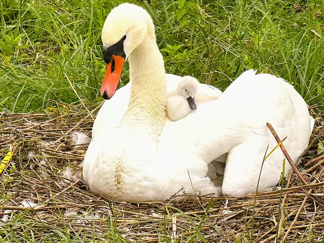 Foto: Heide Böllinger aus Bad Friedrichshall