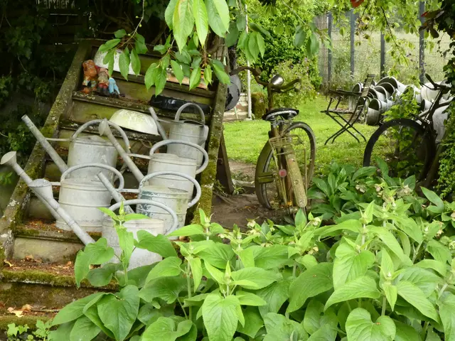 Eine Sammlung alter Gießkannen und auch Fahrräder sind im Garten zu finden.  | Foto: sigischlottke