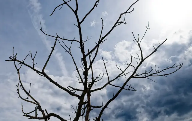 Sonnenschein und dunkle Wolken, aber es blieb trocken | Foto: WKY