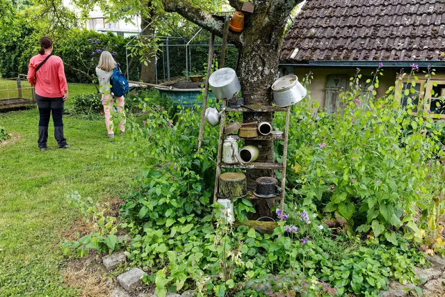 Foto: WKY