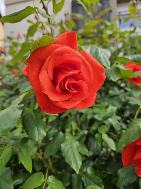 Foto: SAV OG Talheim