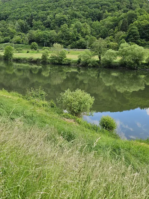 Foto: SAV OG Talheim
