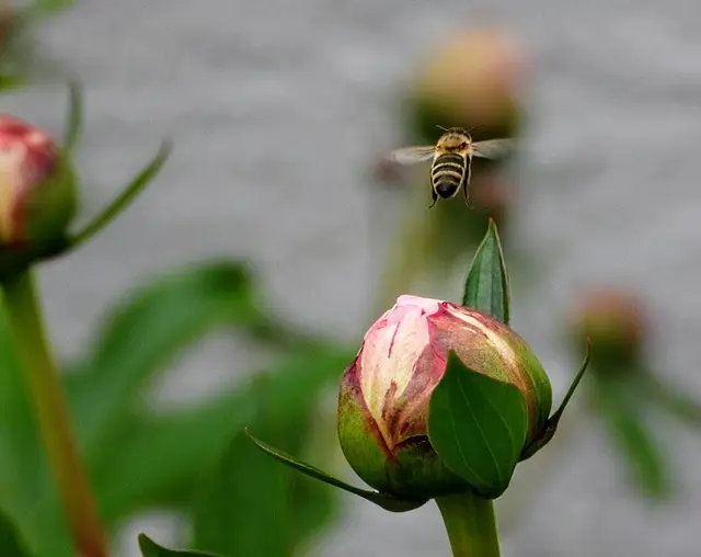 Foto: Martina Wolf