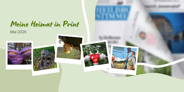 Collage von Fotos, die auf der Meine Heimat-Seite in der Zeitung veröffentlicht wurden
