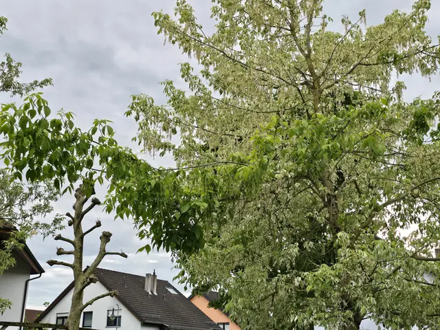 Foto: Heidrun Rosenberger