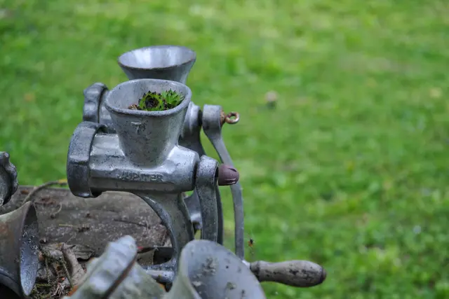 Überall im Garten gibt es total schöne Entdeckungen. | Foto: Daniela Somers