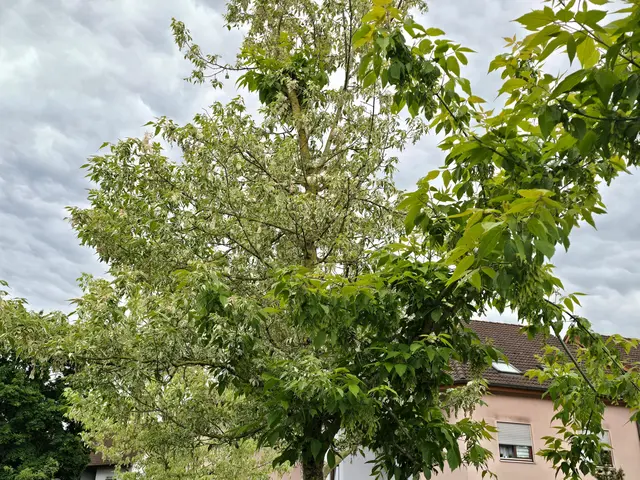 Foto: Heidrun Rosenberger
