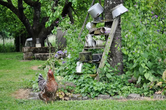 Überall im Garten gibt es tolle Deko. | Foto: Daniela Somers