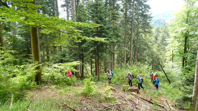 Zuerst durch die Wildnis, danach auf der Höhe angekommen! | Foto: Isolde Reitz