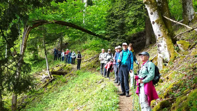 Traumhafte Wanderpfade! | Foto: Isolde Reitz