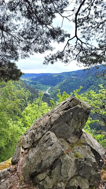Der Posthaldenfels - ein versteinerter Frosch?  | Foto: Isolde Reitz
