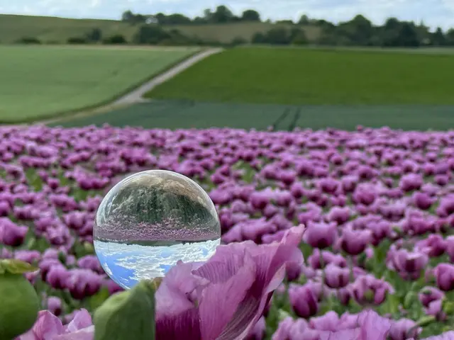 Foto: Moni Bordt