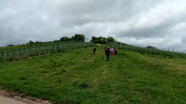 Alle konzentriert beim Abstieg | Foto: WandernGabyErich