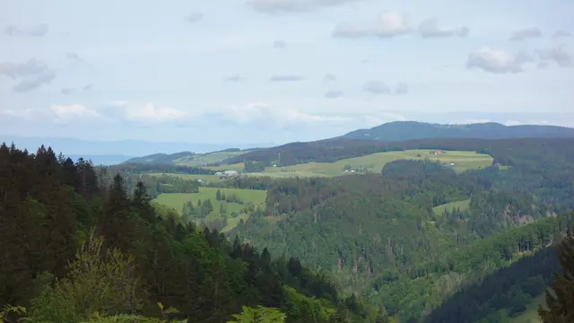 Der Kandel mit den Vogesen im Hintergrund. | Foto: Isolde Reitz