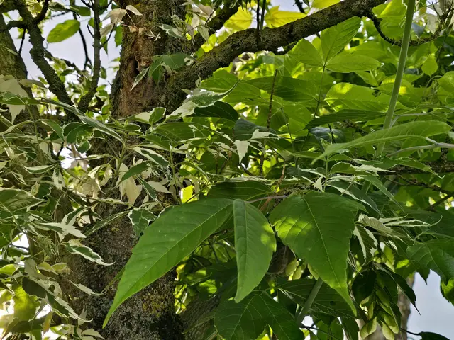 Foto: Heidrun Rosenberger