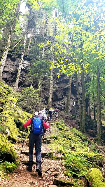 Gewaltiger Anstieg durch die Teichbachschlucht. | Foto: Isolde Reitz