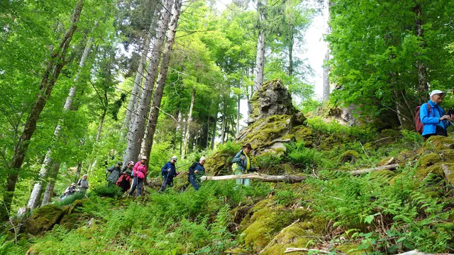 Abstieg ins Wildgutachtal. | Foto: Isolde Reitz
