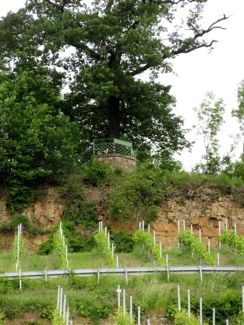 Nach zwei strammen Aufstiegen wurde die Lemppruhe nur von unten bewundert | Foto: WandernGabyErich