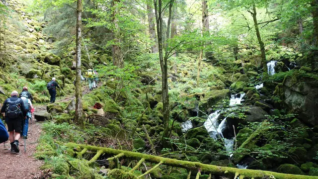 Herrliche Schlucht! | Foto: Isolde Reitz