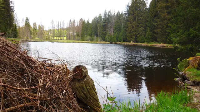 Der Eisweiher beim Titisee. | Foto: Isolde Reitz