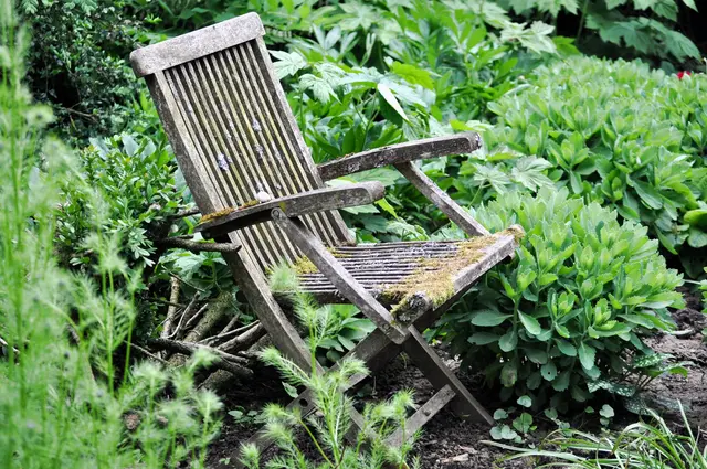 Langsam übernimmt die Natur diesen Sitzplatz | Foto: Daniela Somers