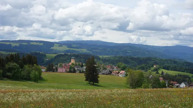 Blick auf St. Peter - im Hintergrund der Feldberg. | Foto: Isolde Reitz